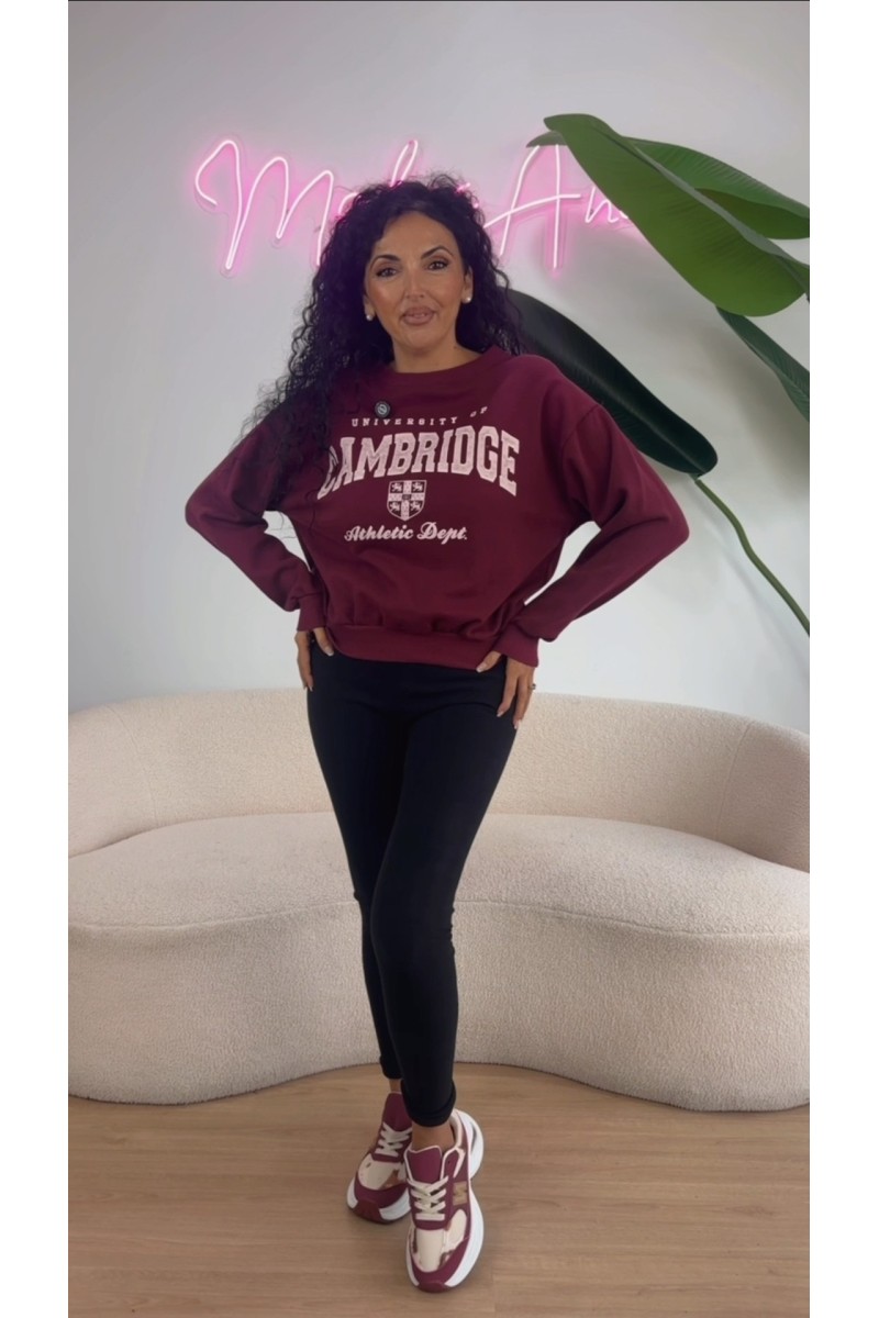Sudadera Cambridge