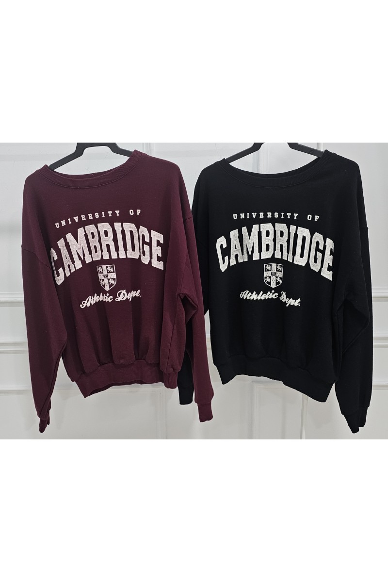 Sudadera Cambridge