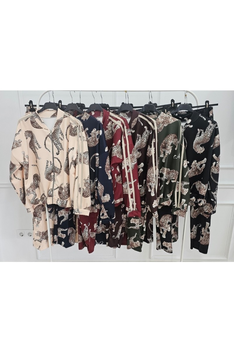 Conjunto sport felina