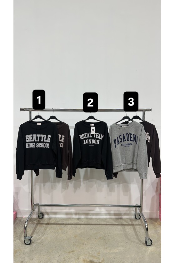 Sudadera promoción 29